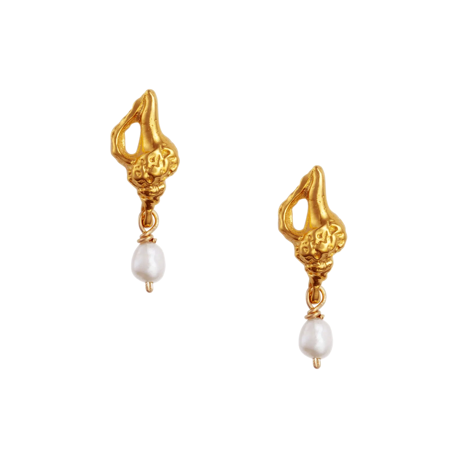 Conchiglie Alle Vongole 23k Gold Plated Fontennoy conchiglie-alle-vongole-23k-gold-plated-fontennoy