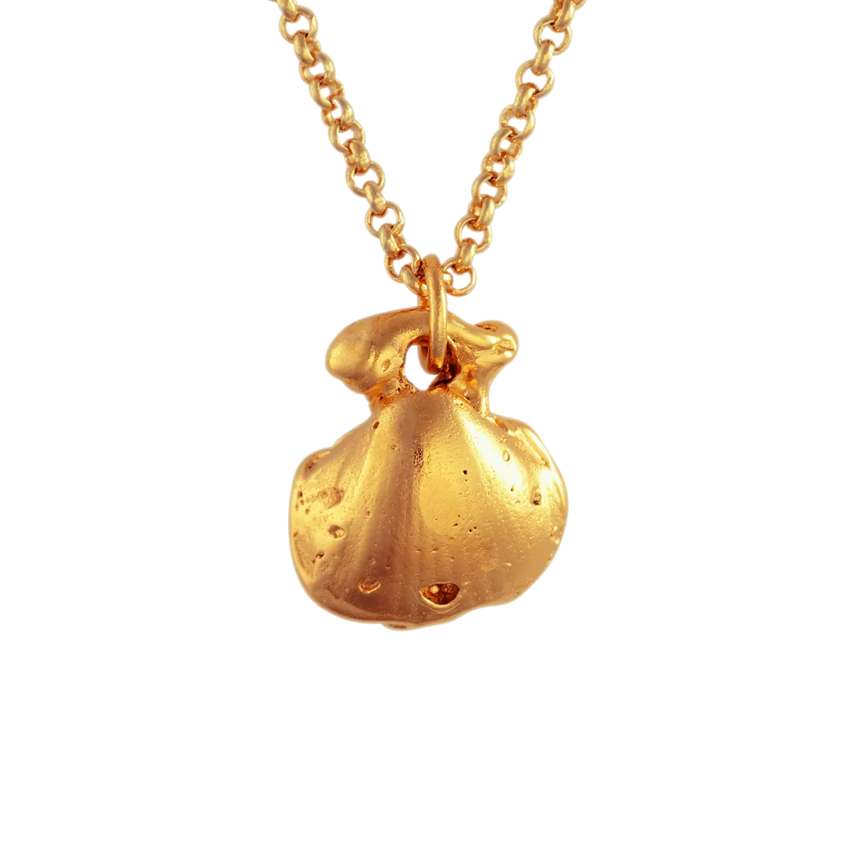Coquille - 23k gold plated
